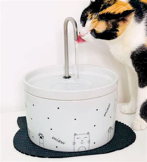 fonte de agua para gatos